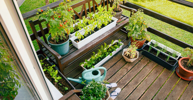 This Backyard Gardening Trend Is Taking Over Small Oregon Suburbs