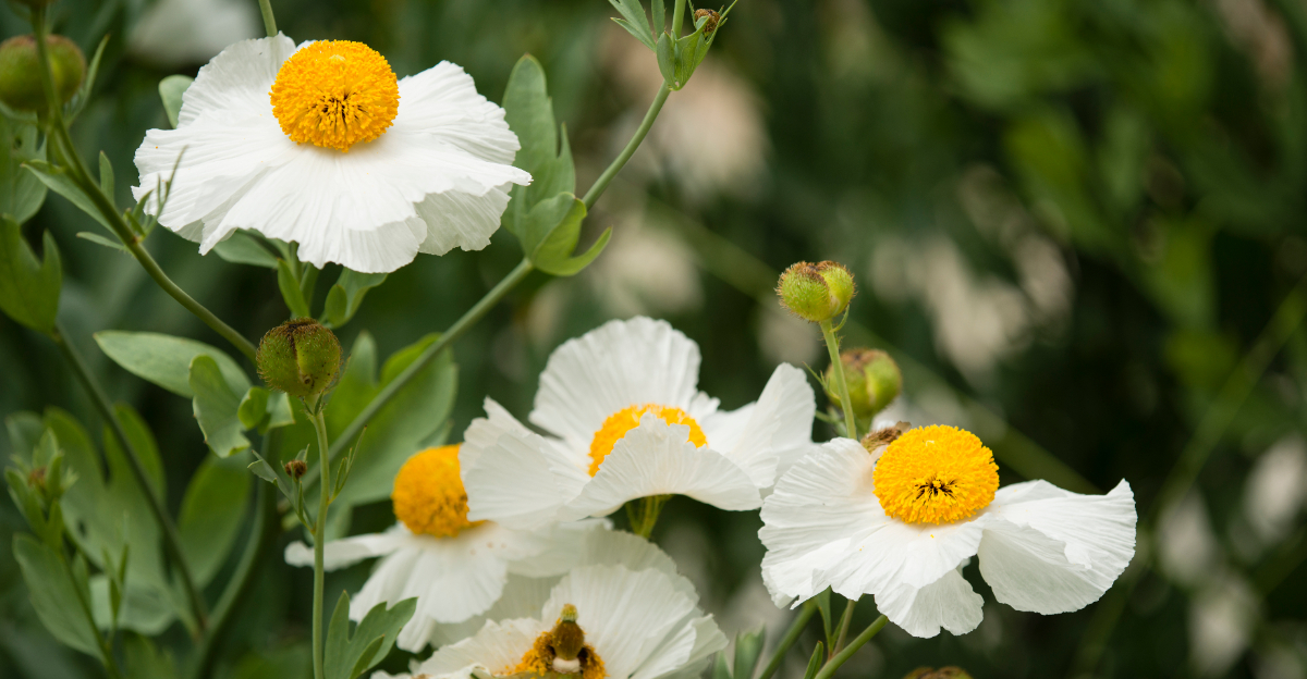 Image Credit: © AlessandroZocc / Shutterstock