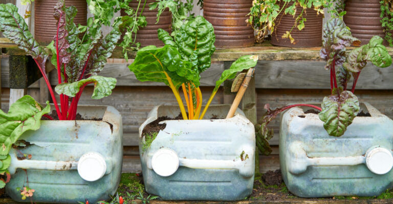 This Is The Five Dollar Store Gardening Hack Oregon Gardeners Are Trying Right Now