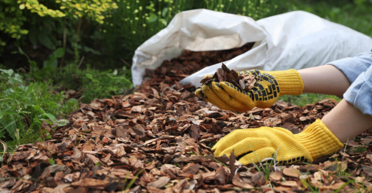 This Simple Mulch Trick Helps Oregon Garden Beds Stay Cooler In July