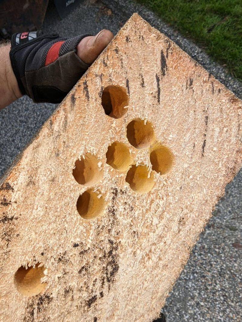 Those Holes Are Not Random Those Holes Are Not Random