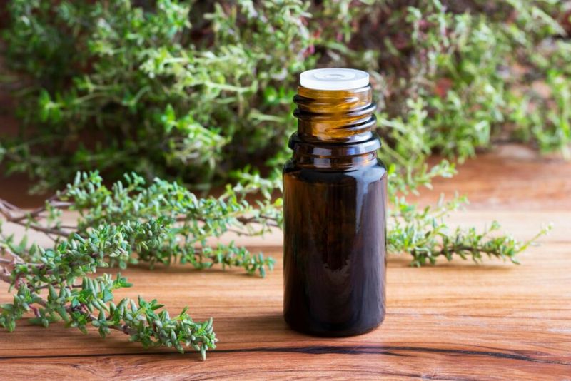 Thyme Oil In Some Botanical Tick Products