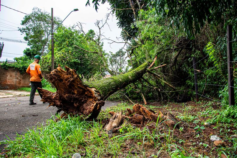 Timing Your Cleanup Around The Forecast Makes A Real Difference Timing Your Cleanup Around The Forecast Makes A Real Difference