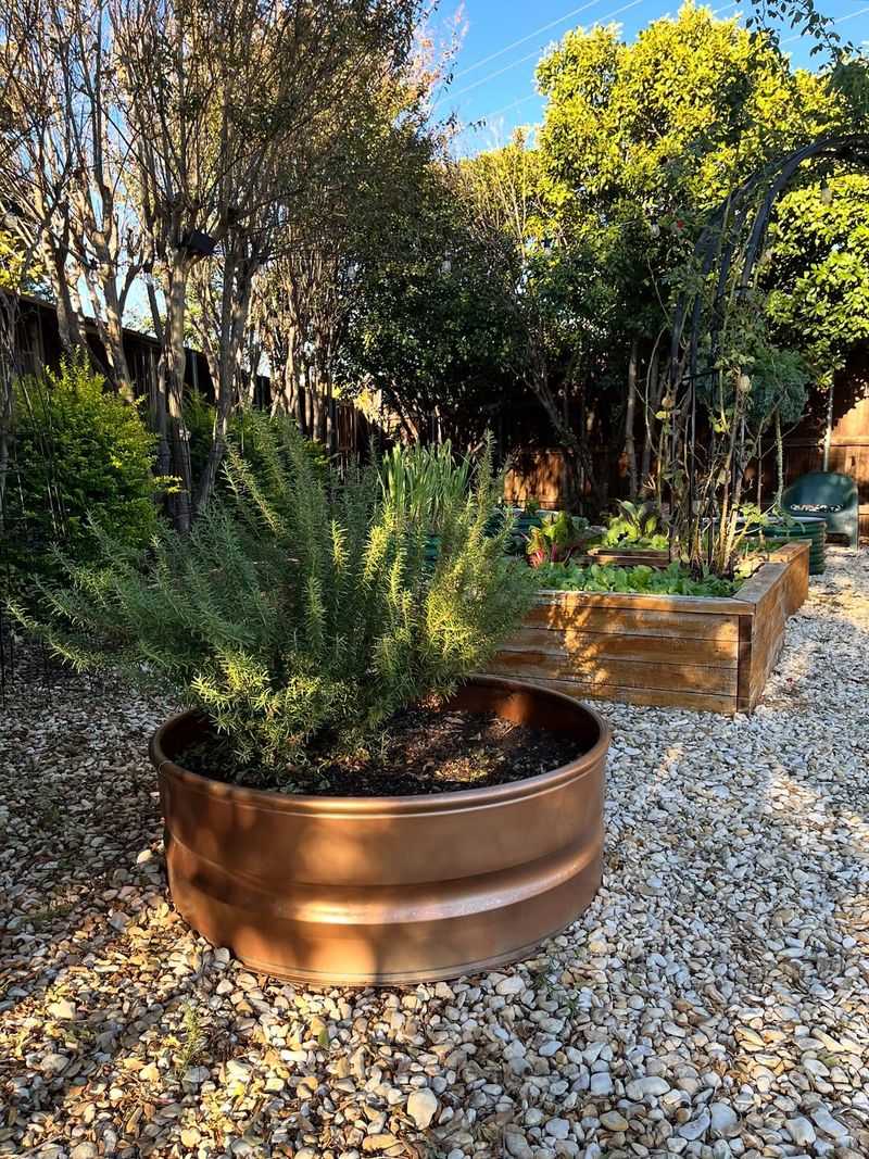 Tips For Patio Planting Tips For Patio Planting
