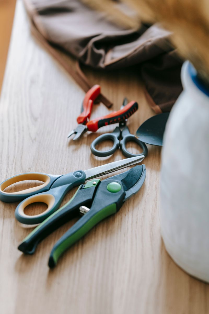 Tools And Supplies To Gather Before You Start