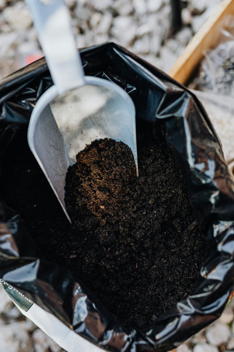 Topdress With A Sand, Soil, And Compost Mix