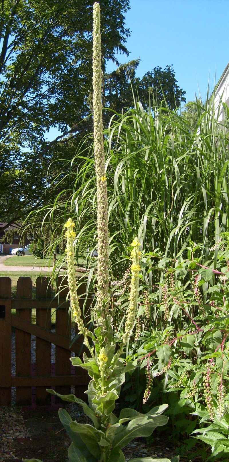 Township Rules Can Apply Along Fence Lines And Roadsides