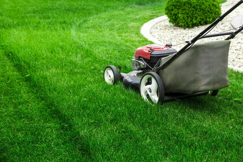 Treat Spring Garden Work Like Tick Season Treat Spring Garden Work Like Tick Season