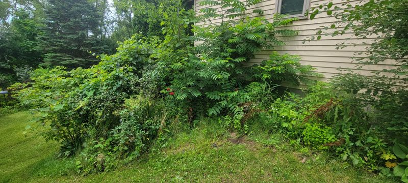 Trim Back Overgrown Property Edges