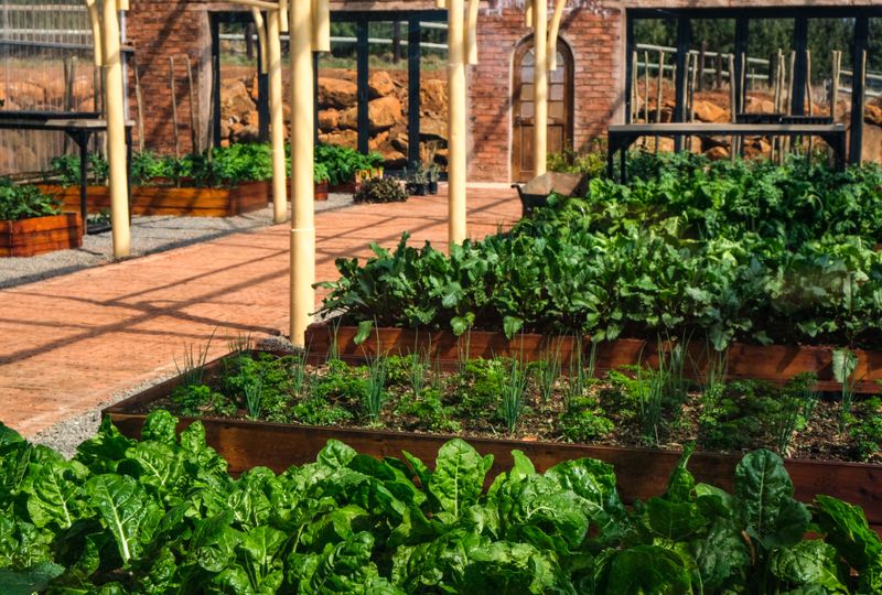 Try Raised Garden Beds For Vulnerable Areas Try Raised Garden Beds For Vulnerable Areas