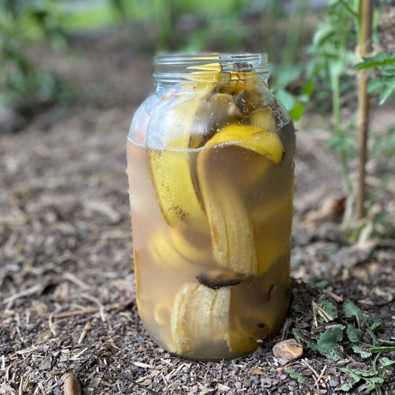 Turn Peels Into Compost First