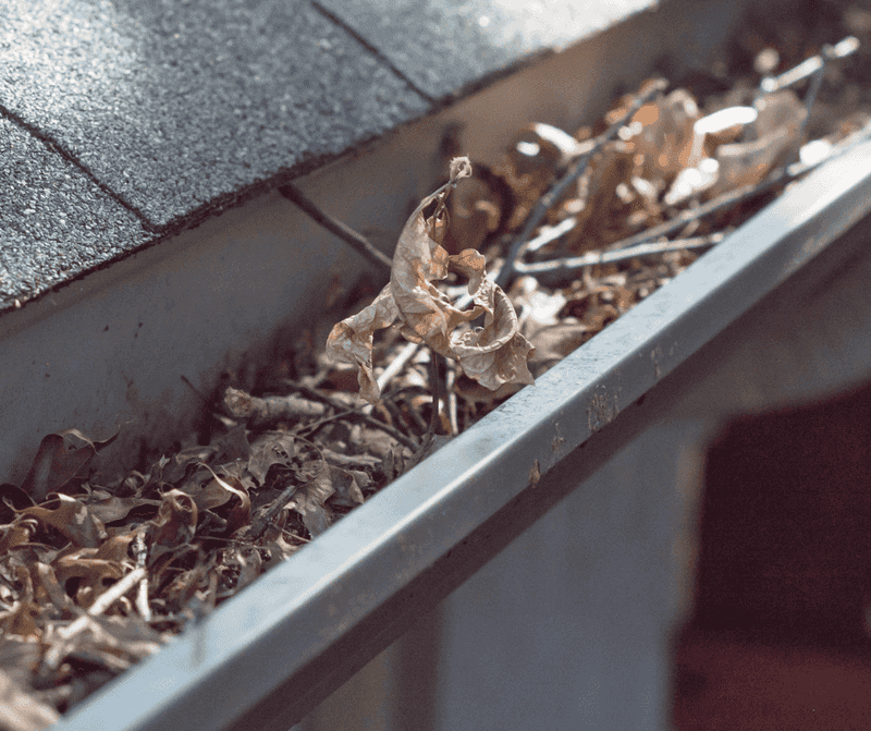 Twigs And Small Branches Trap More Dry Debris Twigs And Small Branches Trap More Dry Debris