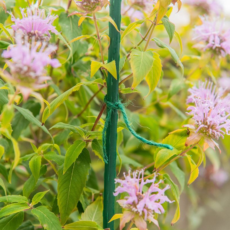 Twine Or Soft Plant Ties