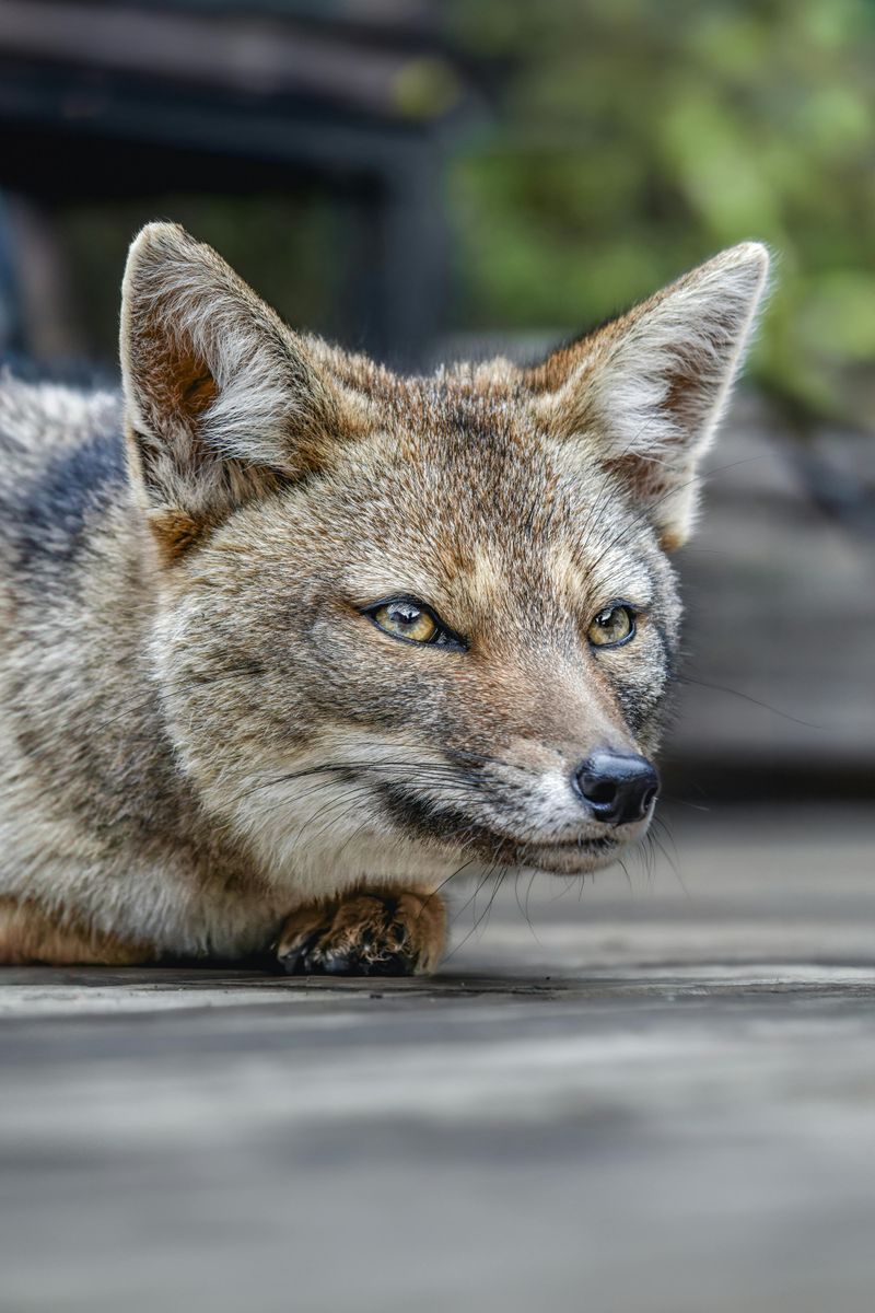 Two Species, Two Different Reasons To Visit Two Species, Two Different Reasons To Visit