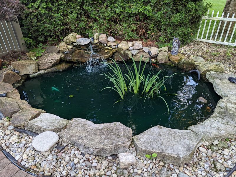 Uncovered Fish Ponds Invite Repeat Visits