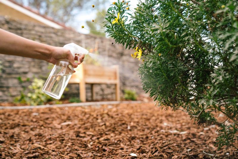 Understand What Vinegar Actually Does Understand What Vinegar Actually Does