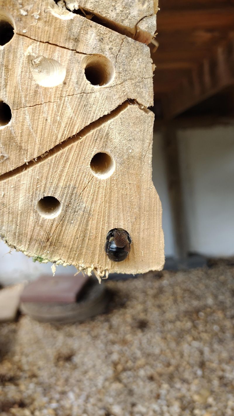 Unfinished Wood Is The Real Culprit