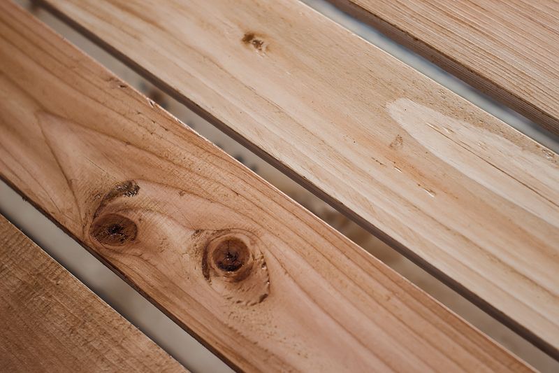 Unpainted Or Bare Wood Draws Them In Immediately Unpainted Or Bare Wood Draws Them In Immediately