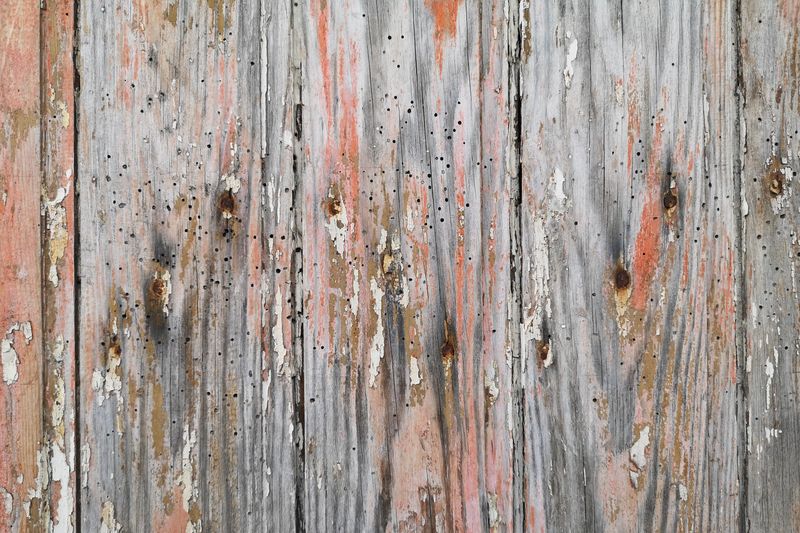 Unpainted, Weathered Wood Is Especially Vulnerable