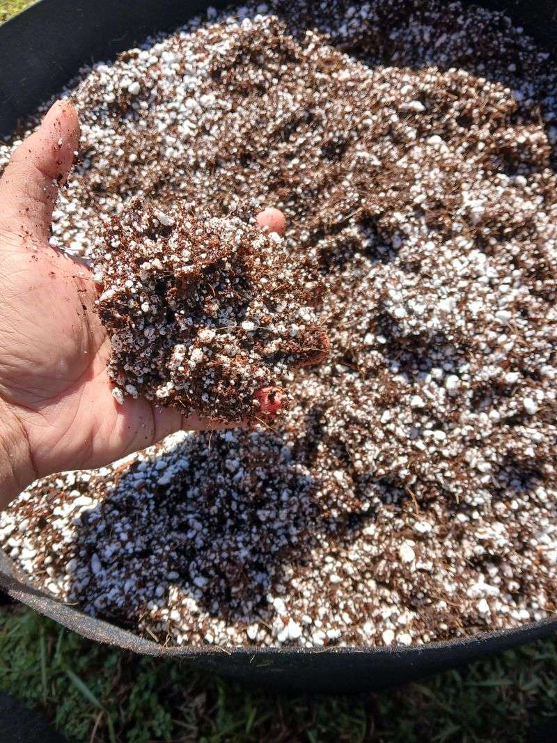 Use A Fast-Draining Potting Mix