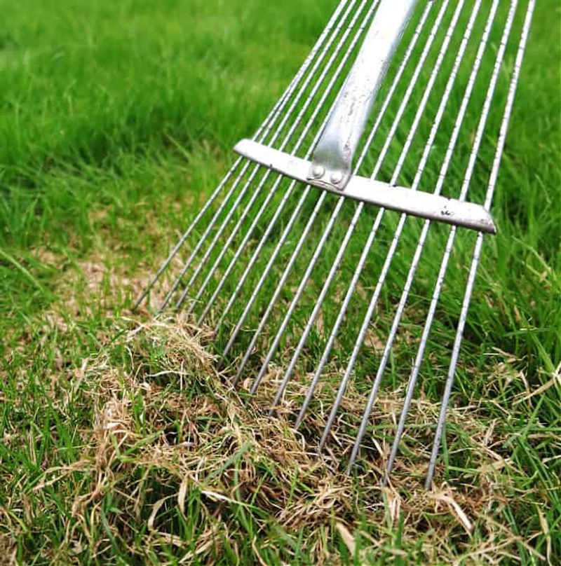 Use A Hand Rake For Small Stressed Patches