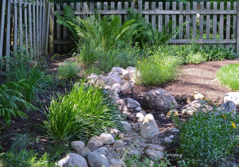 Use A Swale Before You Cut A Drainage Channel