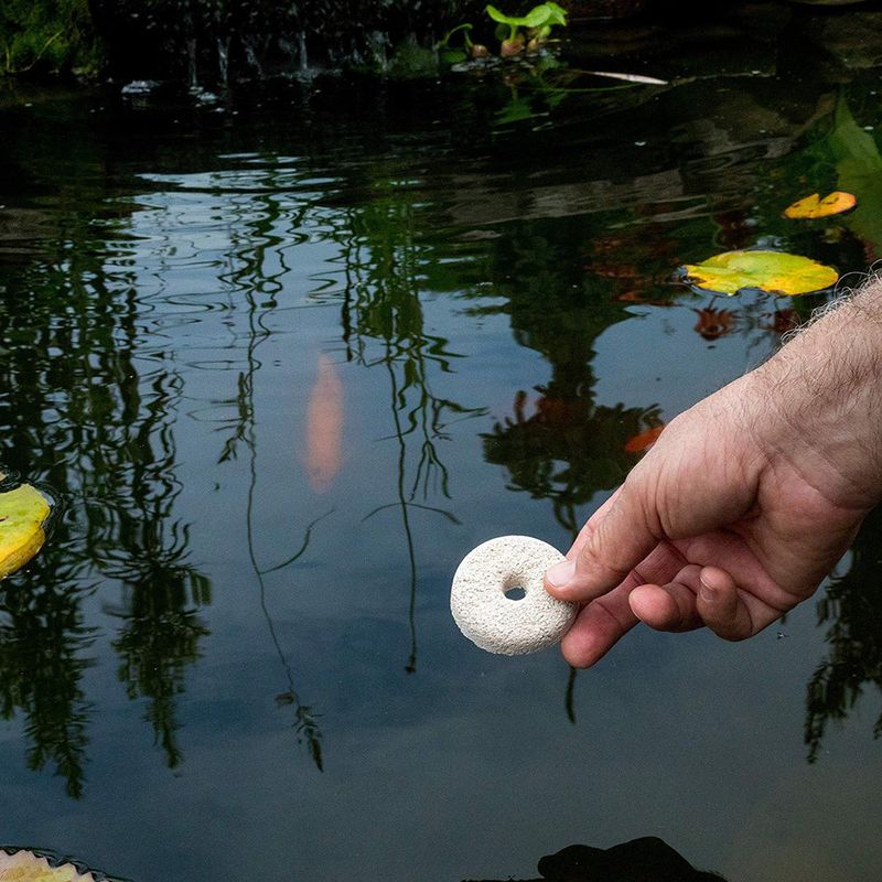 Use Bti Dunks Where Water Must Stay Use Bti Dunks Where Water Must Stay