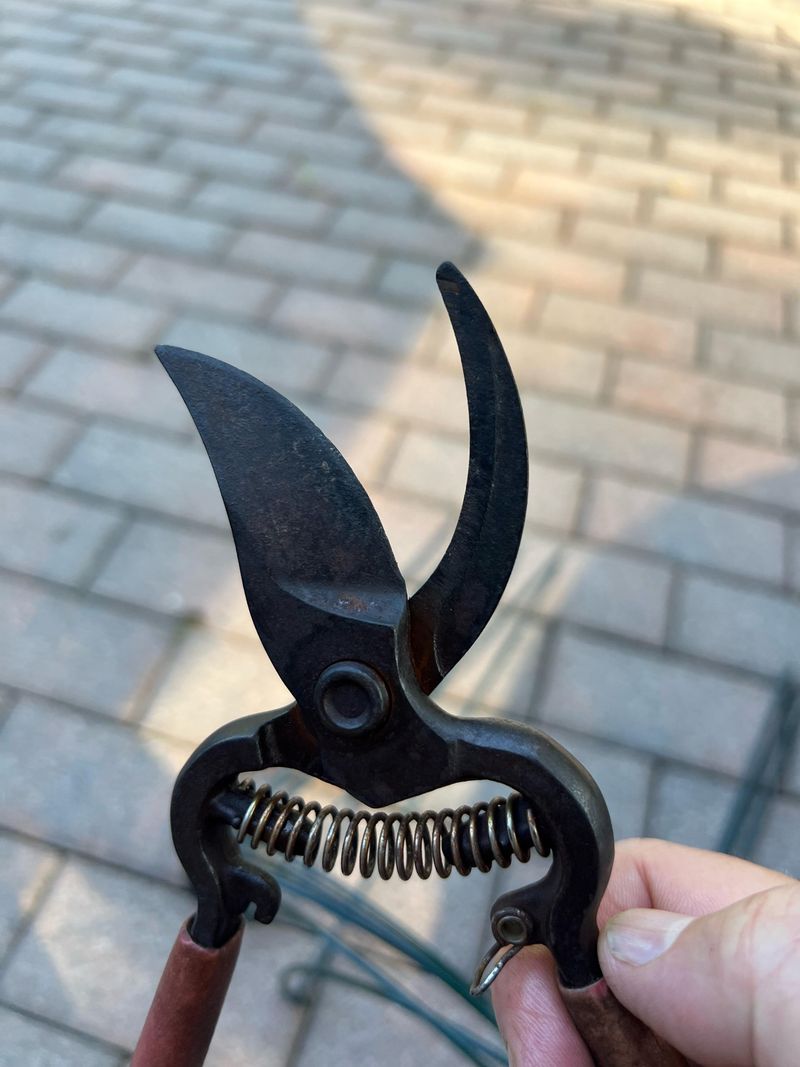 Use Clean Sharp Pruners