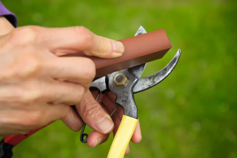 Use Clean Sharp Tools To Make Every Cut