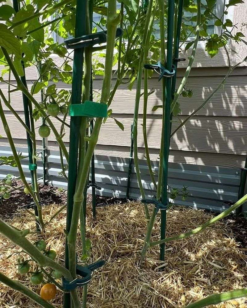 Use Deep Mulch To Hold Soil Moisture Use Deep Mulch To Hold Soil Moisture