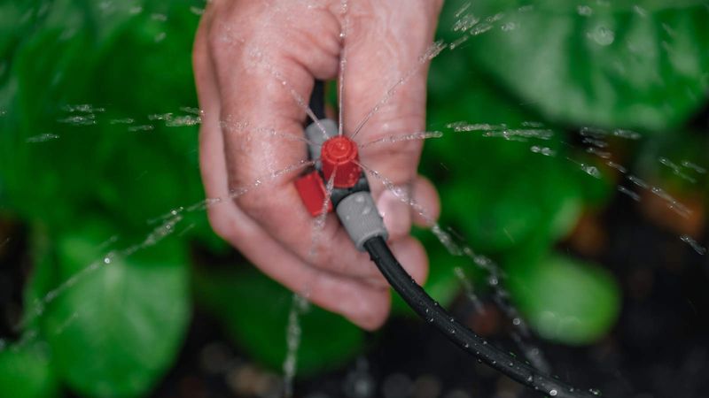 Use Drip Irrigation Or A Soaker Hose