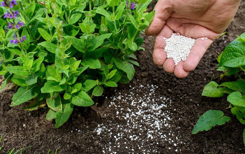 Use Fertilizer Only Where It Helps