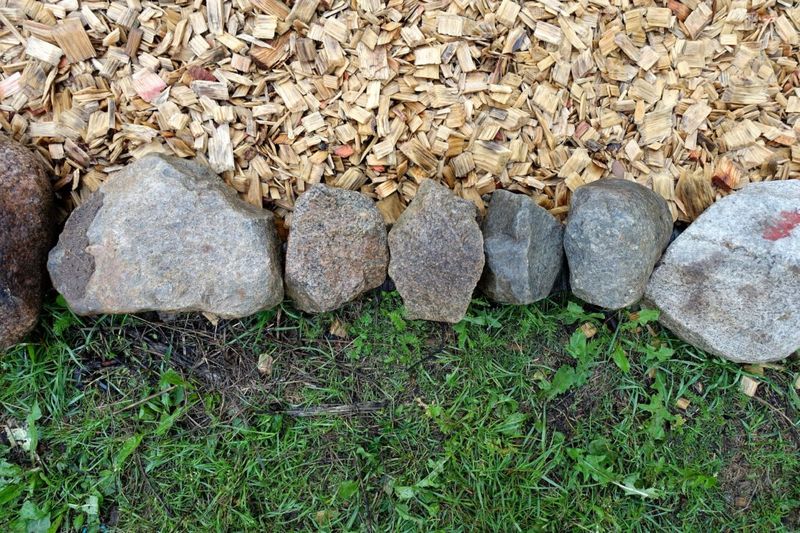 Use Gravel Or Wood Chip Barriers Near Wooded Edges
