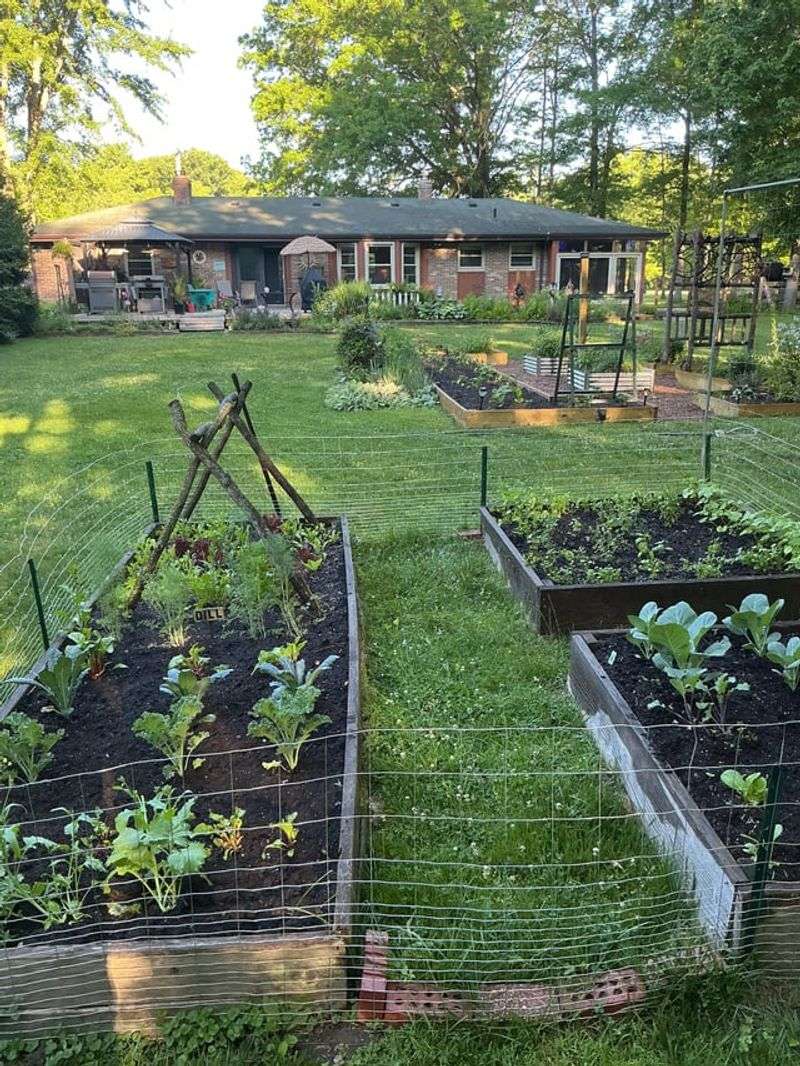 Use Morning Watering To Cut Evaporation