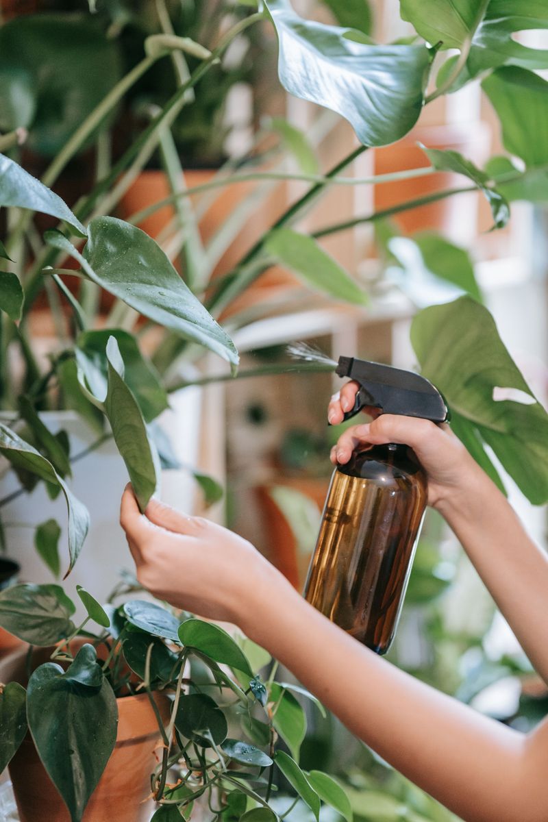 Use Neem Oil As A Repellent Spray Use Neem Oil As A Repellent Spray