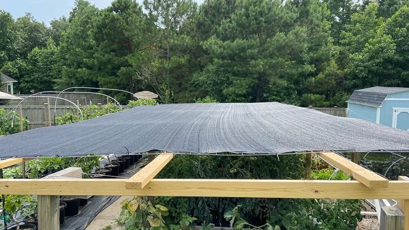 Use Shade Cloth During The Harshest Heat Use Shade Cloth During The Harshest Heat
