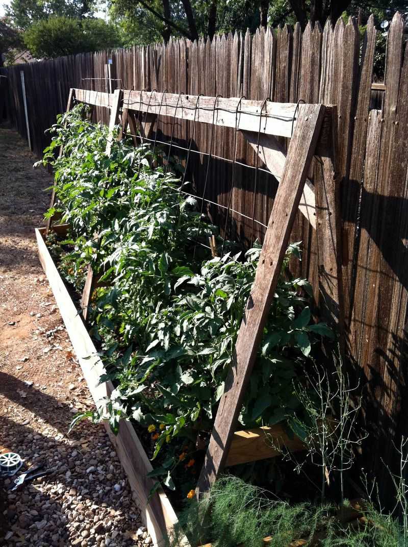 Use Trellises Along Fences To Save Ground Space Use Trellises Along Fences To Save Ground Space