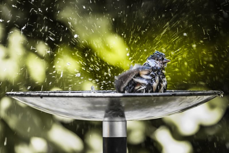 Using A Metal Bath That Overheats In Summer