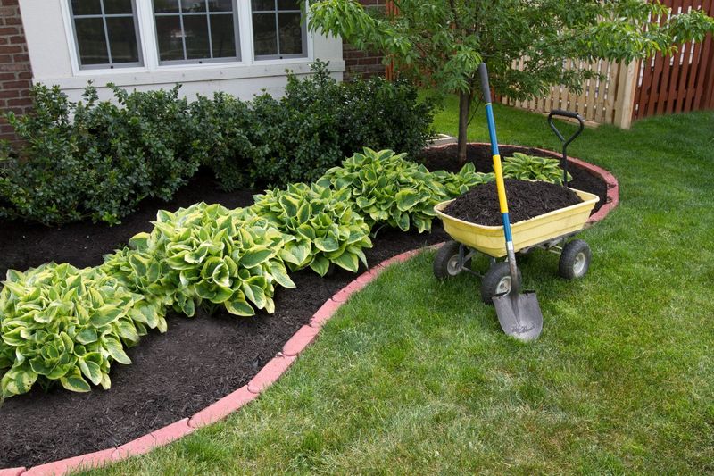 Using Dark Mulch Where Reflected Heat Builds Using Dark Mulch Where Reflected Heat Builds