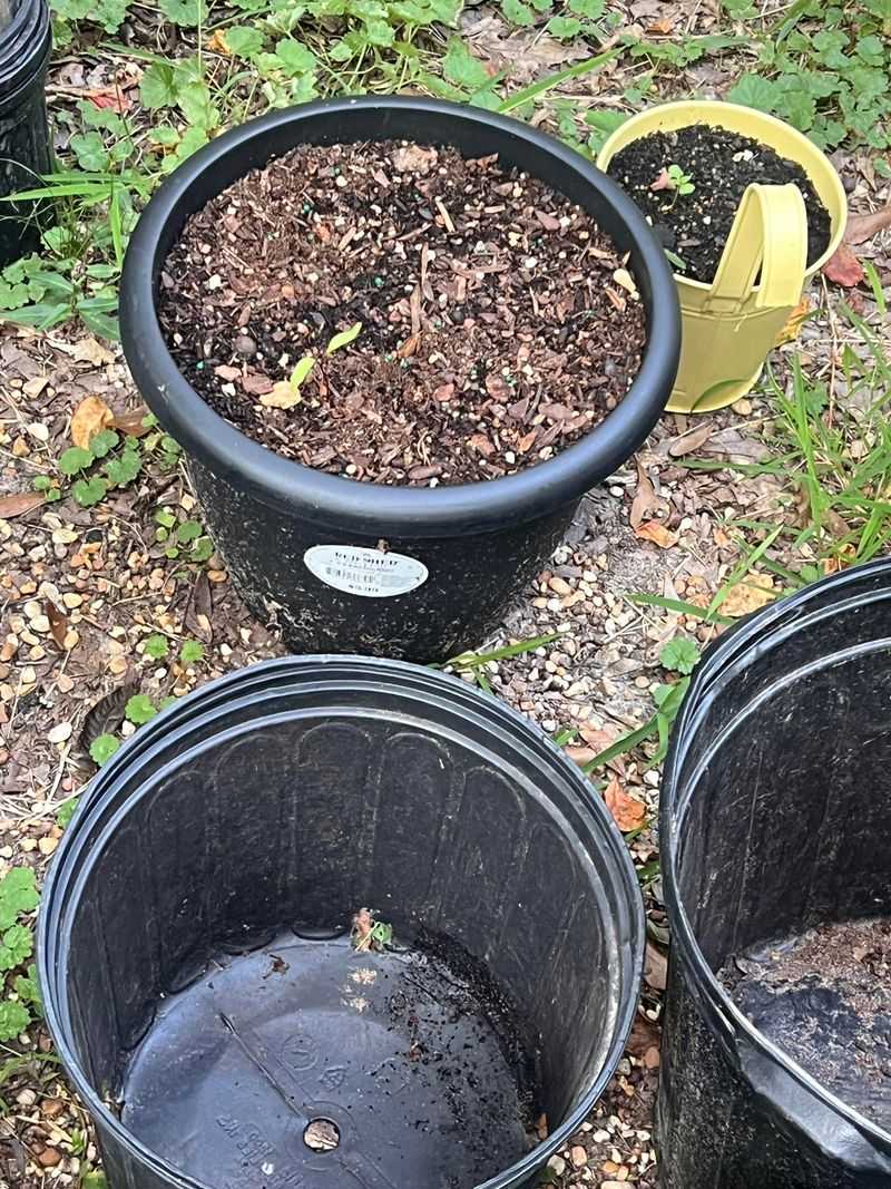 Using Garden Soil Makes Containers Heavy And Soggy