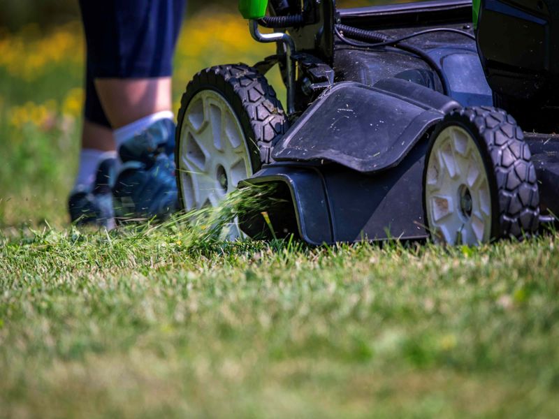 Using Mowers That Don't Mulch