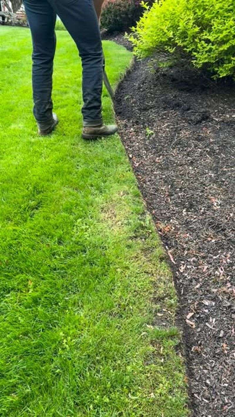 Using Mulch Too Close To Perennials Or Lawn Edges
