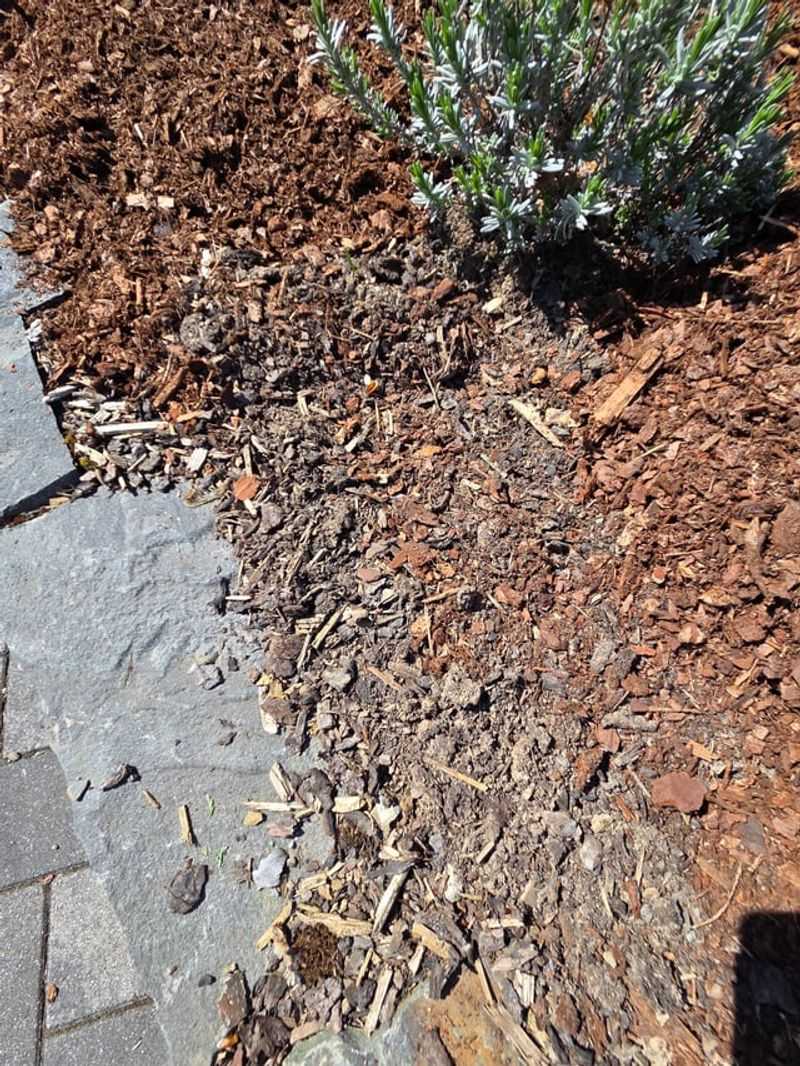 Using Mulch With Large Chunks Or Improper Material