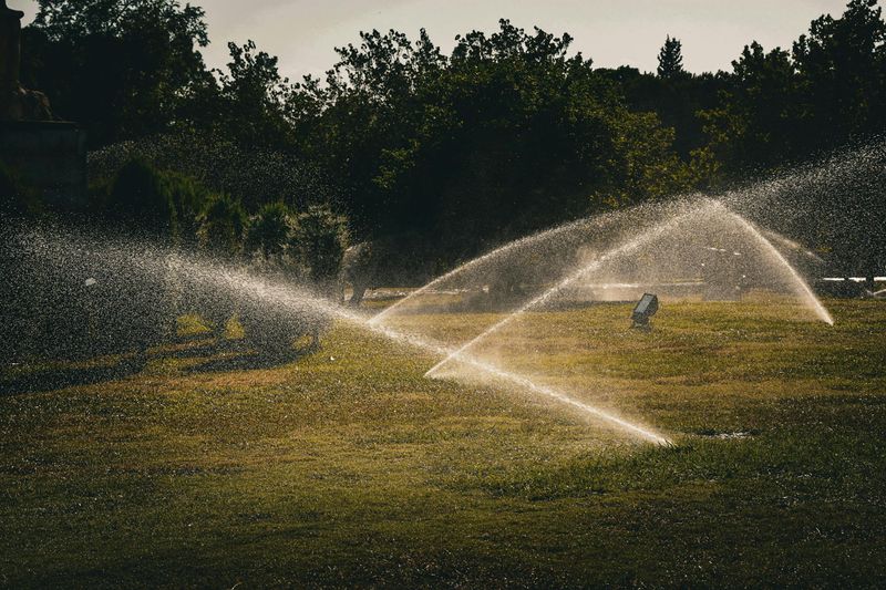 Using Overhead Sprinklers In The Evening