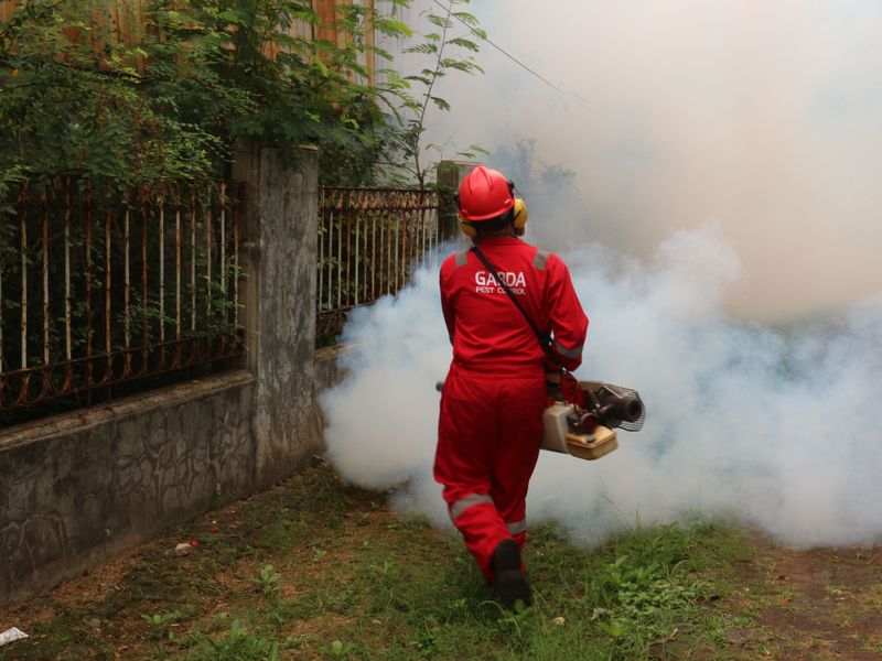 Using Pesticides And Insecticides On Your Lawn