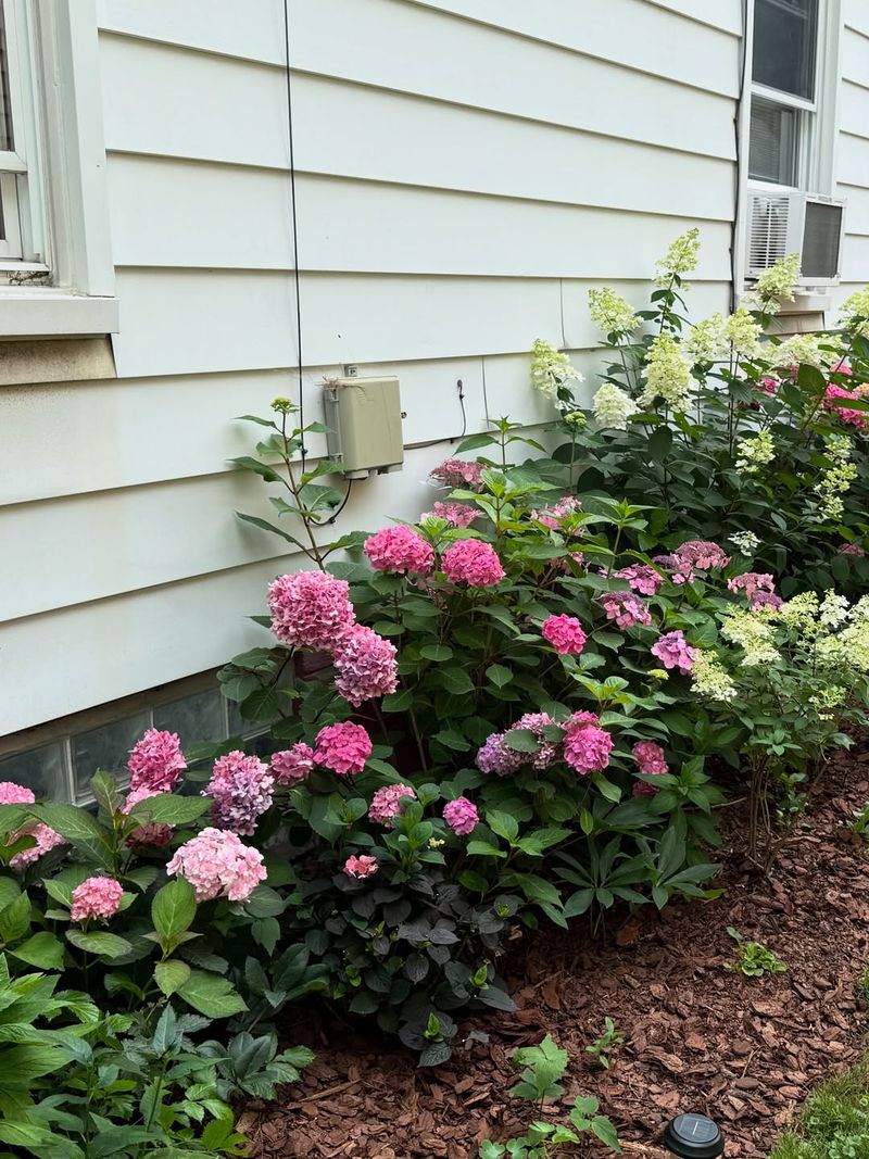Using Poorly Drained Soil Near Downspouts Using Poorly Drained Soil Near Downspouts
