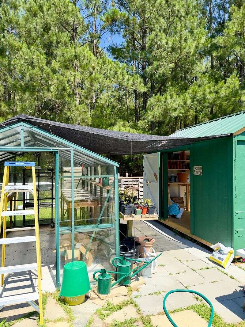 Using Shade Structures to Shield Heat-Sensitive Plants Using Shade Structures to Shield Heat-Sensitive Plants