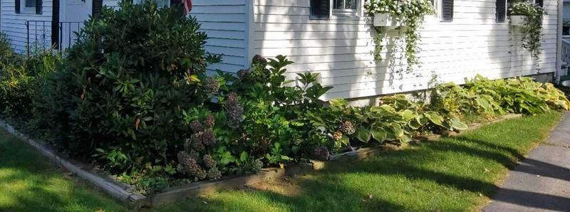 Using Thick Ground Covers Right Against The Door Makes Access Easier