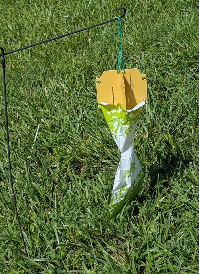 Using Traps Too Close To Vulnerable Plants