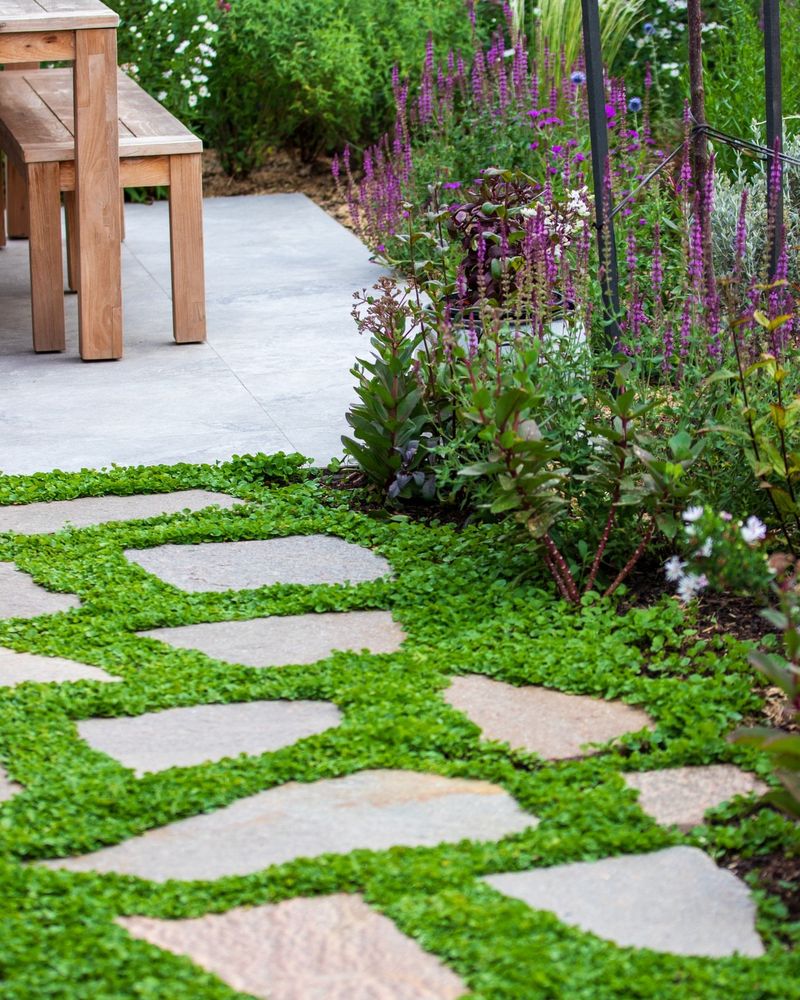 Versatile Landscaping Uses Across Your Entire Property